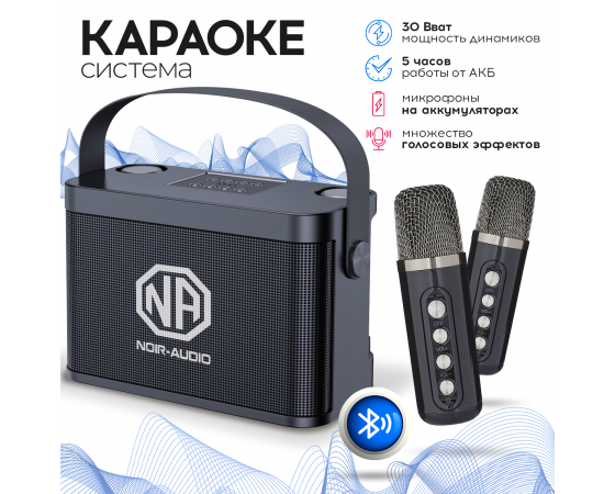 Акустическая система с двумя беспроводными микрофонами Noir-Audio K-5